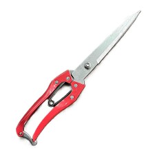 Хайч /ангарзуур/ улаан